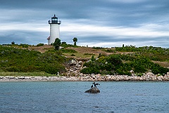 Seabirds in Front of Tarpaulin Cove Light in Stormy Weather